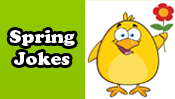 Spring Jokes