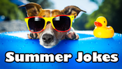 Summer Jokes
